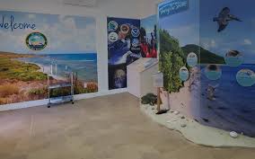 Photo from St Croix East End Marine Park on St. Croix