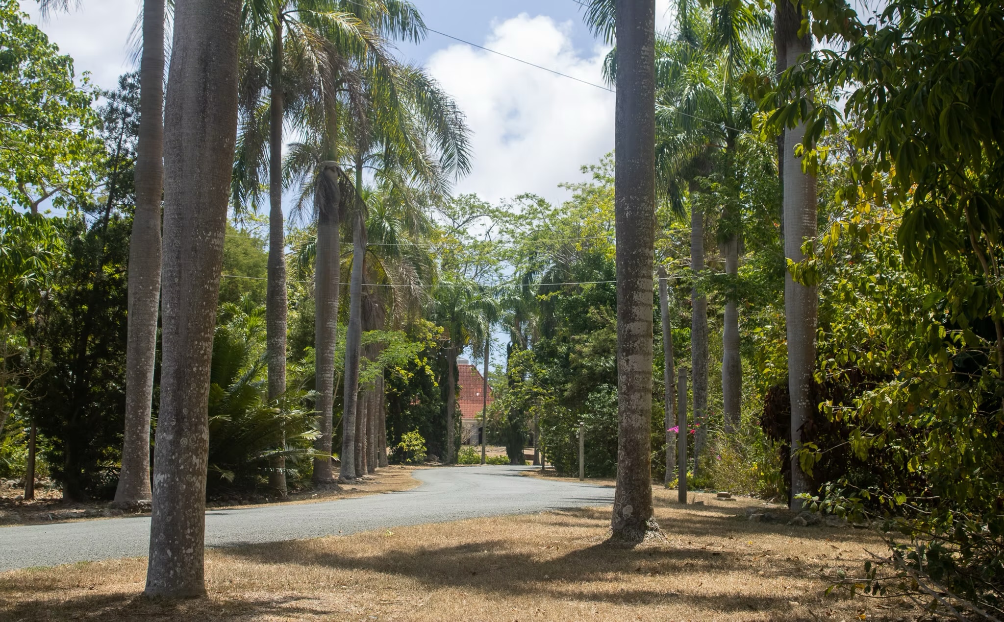 Photo from St. George Village Botanical Garden on St. Croix