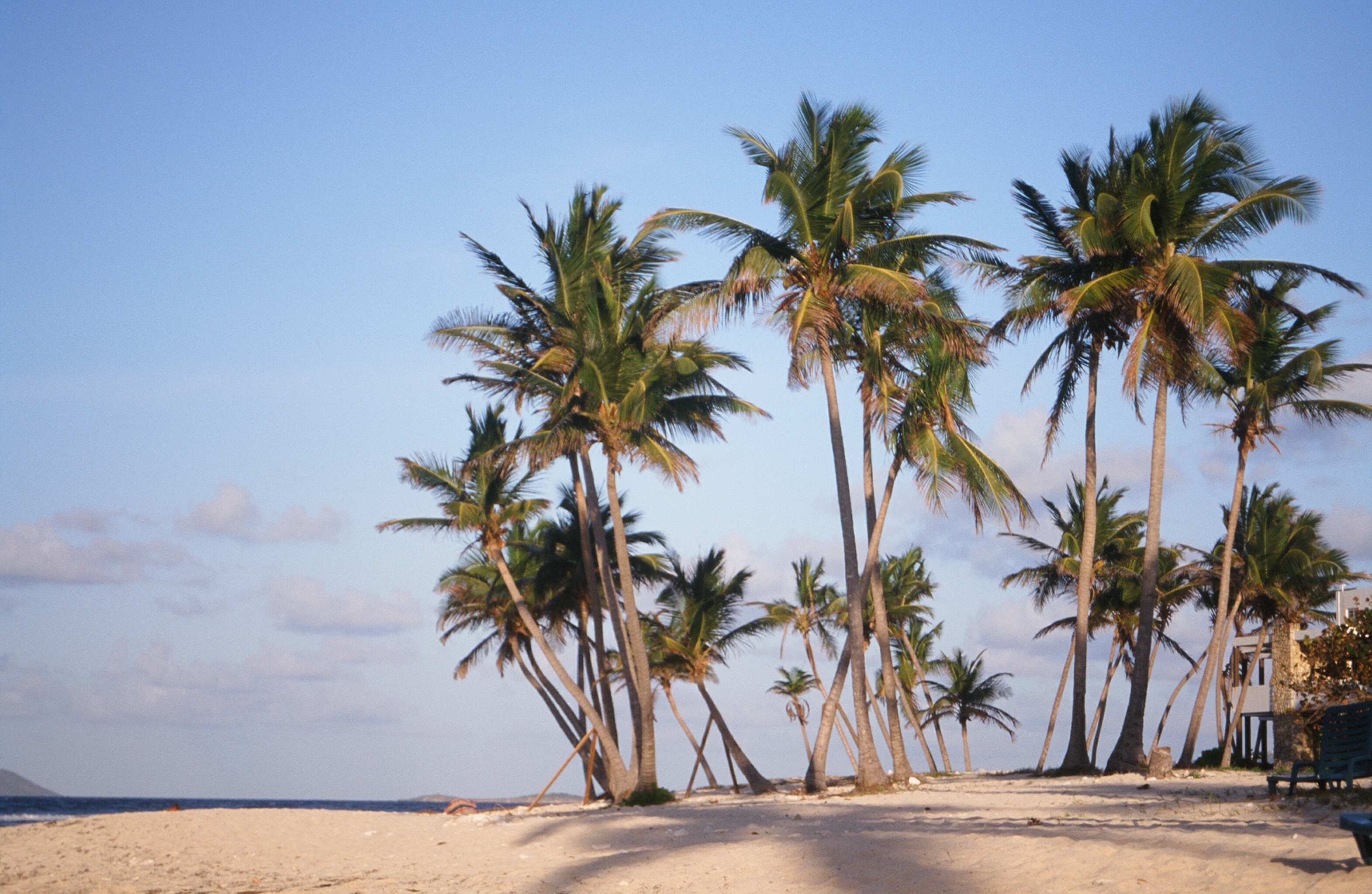 Island landscape on St. Croix